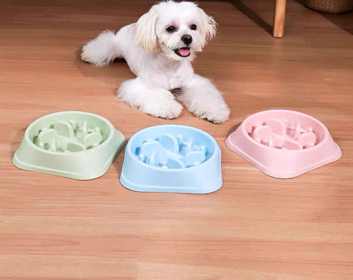 Slow-feed Pet Bowl