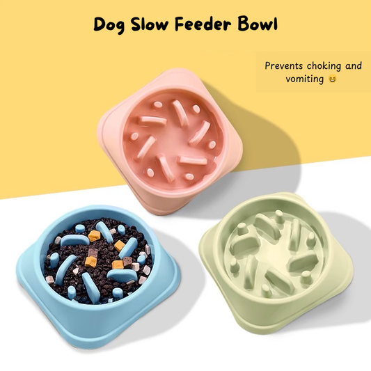 Slow-feed Pet Bowl