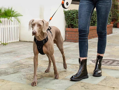 Retractable Dog Leash