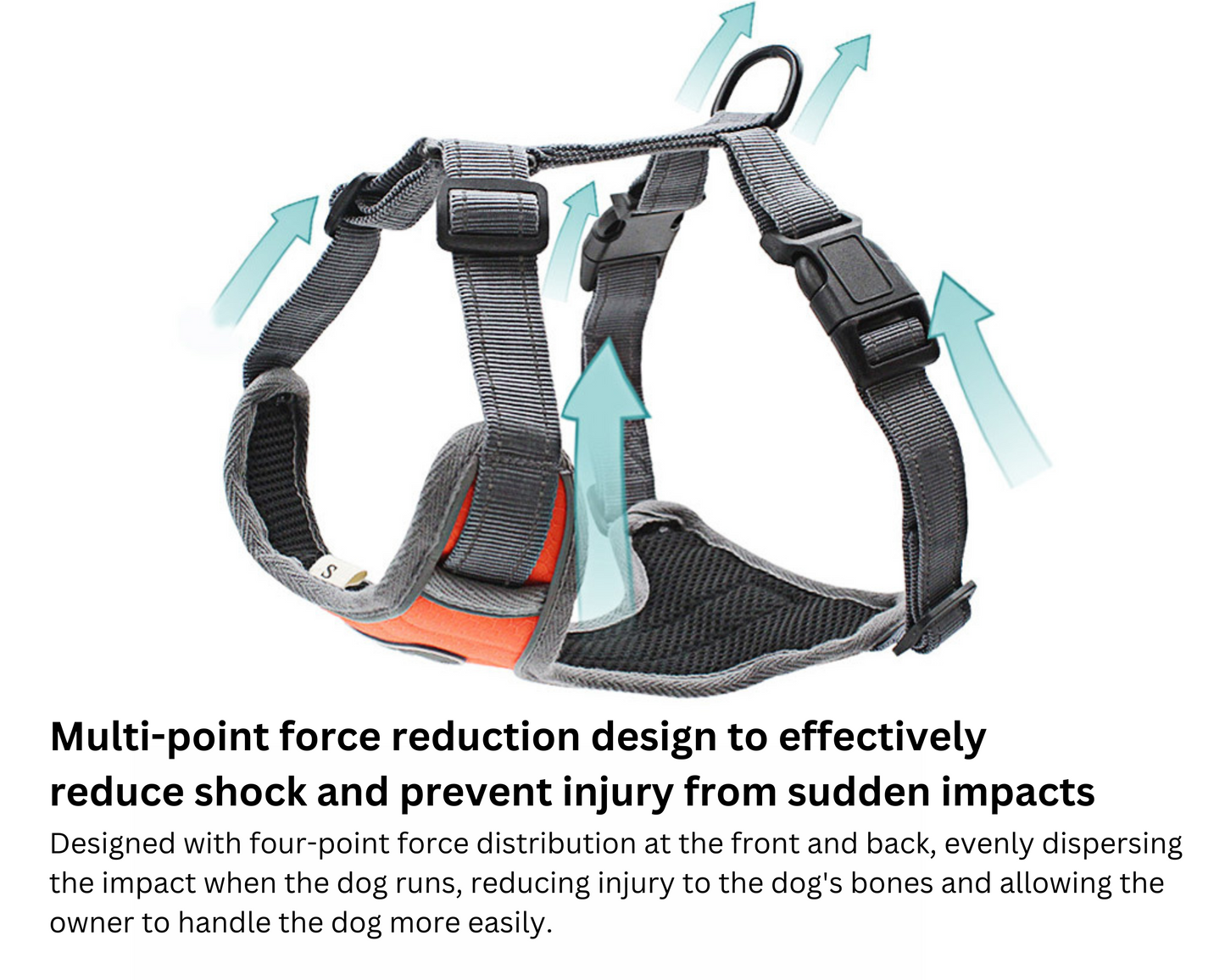 Dog Harness