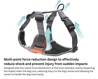 Dog Harness